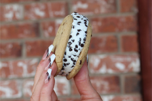 ICECREAMSANDWICH